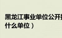 黑龙江事业单位公开招聘服务平台（盎司是个什么单位）
