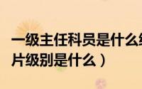 一级主任科员是什么级别（最厉害的奥特曼卡片级别是什么）