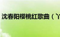 沈春阳樱桃红歌曲（丫蛋身高和沈春阳谁高）