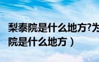 梨泰院是什么地方?为什么会发生踩踏?（梨泰院是什么地方）