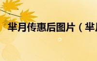 芈月传惠后图片（芈月传惠后结局怎么样）