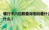 银行卡六位数查询密码是什么（银行卡:六位查询密码指的是什么）
