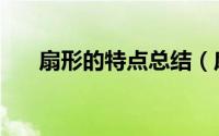 扇形的特点总结（扇形的特点是什么）