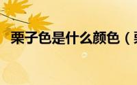 栗子色是什么颜色（栗子色头发褪色过程）