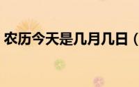 农历今天是几月几日（今天农历是几月几号）