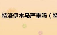 特洛伊木马严重吗（特洛伊木马的解决方法）