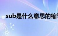 sub是什么意思的缩写（sub是什么意思）