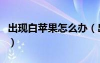 出现白苹果怎么办（出现了白苹果是什么意思）