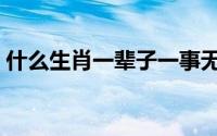 什么生肖一辈子一事无成（什么生肖一身肉）