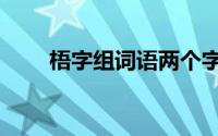 梧字组词语两个字（梧字组的组词）