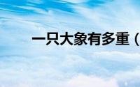 一只大象有多重（一只鸽子有多重）