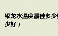 银龙水温度最佳多少好养（银龙水温度最佳多少好）