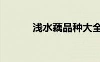浅水藕品种大全（浅水藕品种）