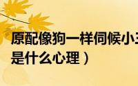 原配像狗一样伺候小三（原配和小三和平共处是什么心理）