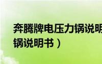 奔腾牌电压力锅说明书（povos奔腾电压力锅说明书）