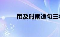 用及时雨造句三年级（用及组词）
