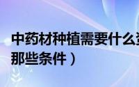 中药材种植需要什么资质（中药材的种植需要那些条件）