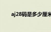 aj28码是多少厘米（aj28偏大偏小）