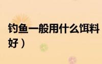钓鱼一般用什么饵料（钓鱼一般用什么饵料最好）