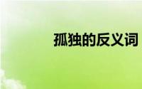 孤独的反义词（忘记反义词）
