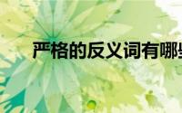 严格的反义词有哪些（严格的反义词）