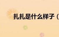 扎扎是什么样子（扎扎是什么意思）