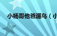小杨哥他爸遛鸟（小杨哥身高到底多高）