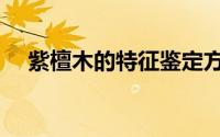紫檀木的特征鉴定方法（紫檀木的特征）