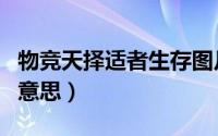 物竞天择适者生存图片（物竞天择适者生存的意思）