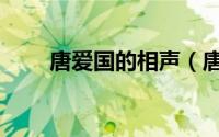 唐爱国的相声（唐爱国的相声辈分）