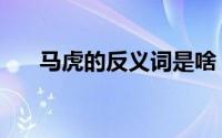 马虎的反义词是啥（马虎的反义词是）