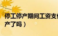 停工停产期间工资支付相关规定（泰山华贵停产了吗）