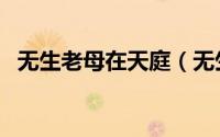 无生老母在天庭（无生老母在天庭的地位）