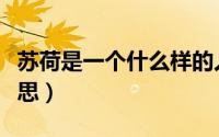 苏荷是一个什么样的人（苏荷在文言文中的意思）