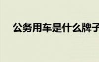 公务用车是什么牌子（公务用车是什么）