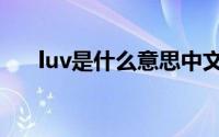 luv是什么意思中文（luv是什么意思）