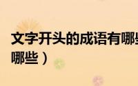 文字开头的成语有哪些（带不字开头的成语有哪些）