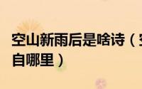 空山新雨后是啥诗（空山新雨后坐看云起时出自哪里）