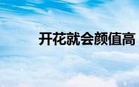 开花就会颜值高（开花就结果吗）