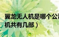 翼龙无人机是哪个公司生产的（翼龙系列无人机共有几部）