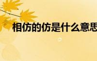 相仿的仿是什么意思（怠慢是什么意思）