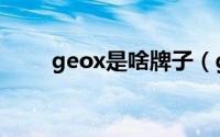 geox是啥牌子（geox是什么品牌）