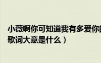 小薇啊你可知道我有多爱你的下一句歌词是什么（歌曲小薇歌词大意是什么）