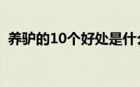 养驴的10个好处是什么（养驴的10个好处）
