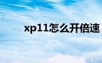 xp11怎么开倍速（xp11怎么安装）