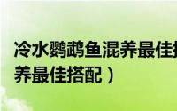 冷水鹦鹉鱼混养最佳搭配图片（冷水鹦鹉鱼混养最佳搭配）