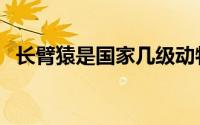 长臂猿是国家几级动物（世界长臂猿排名）