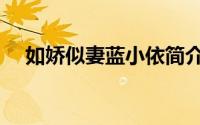 如娇似妻蓝小依简介（如娇似妻的意思）
