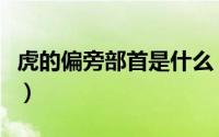 虎的偏旁部首是什么（公的偏旁部首是叫什么）