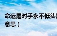 命运是对手永不低头是什么歌（永不低头什么意思）
